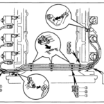 Toyota 3.4 Firing Order [With Diagram]